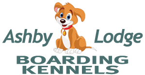 dUAAVhwLw8D6HqSQGYEbGqiFvo